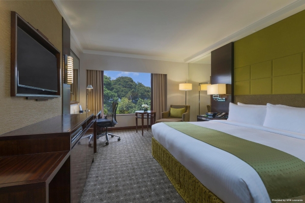 Holiday Inn SINGAPORE ORCHARD CITY CENTRE (Singapur)